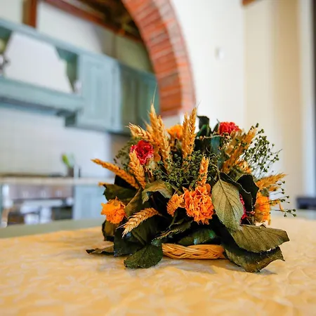 In A Modern In Apartment Anghiari