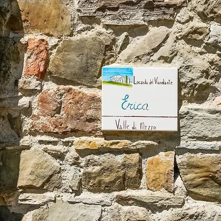 In A Modern In * Anghiari