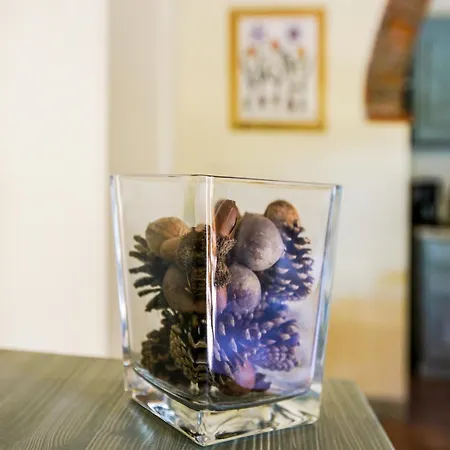 In A Modern In Apartment *