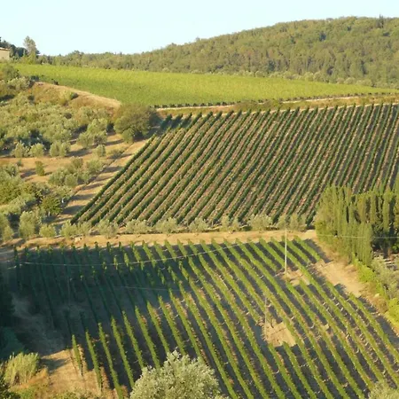 In A Modern In * Anghiari