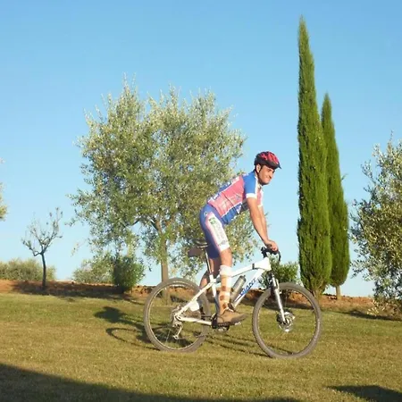 In A Modern In Anghiari