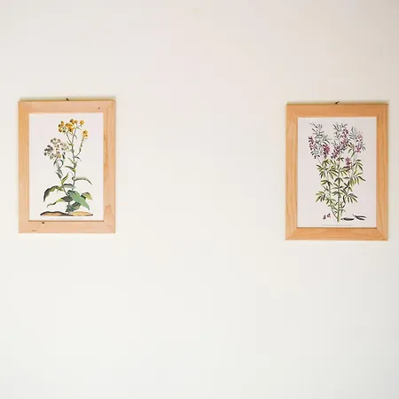 In A Modern In 아파트 *