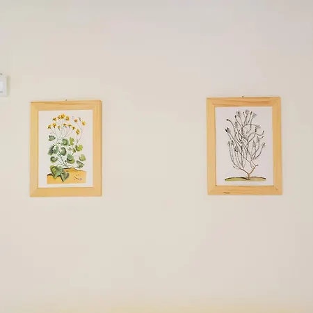 아파트 In A Modern In 앙기아리